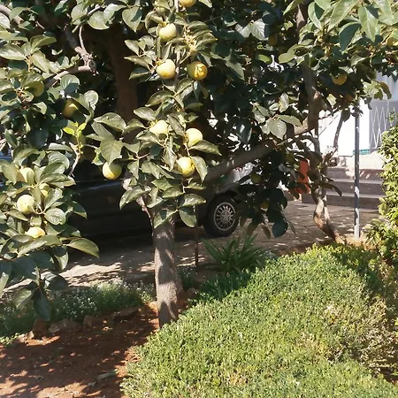 Cope זאדאר